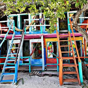 布兰卡滩The Wizard & Bar BARU的色彩缤纷的房屋,配有两把椅子和梯子