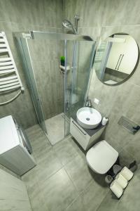珀尔沃卡Vėjūnė的一间带卫生间、水槽和镜子的浴室