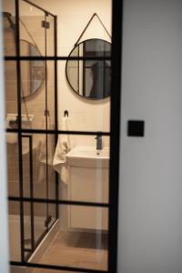 比亚瓦波德拉斯卡Green Loft Apartament的一间带水槽和镜子的浴室