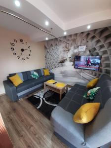 扎科帕内APARTAMENT CIEŃ GIEWONTU的带沙发和电视的客厅