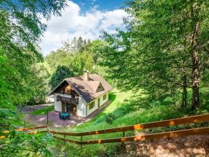 RudníkCozy Holiday Home near Ski Area in Javorník的树木林立的田野中的房子