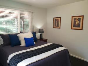 TyennaTyenna River Cottages的一间卧室配有一张带蓝色枕头的床和一扇窗户。