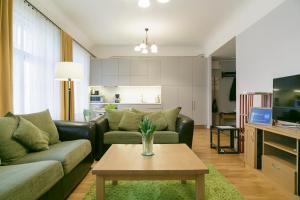 派尔努Saaresalu City Center Apartment的带沙发和咖啡桌的客厅