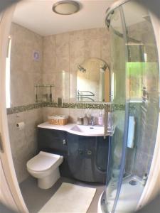 哈特伯瑞Hartpury B&B的浴室配有卫生间、盥洗盆和淋浴。