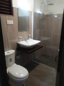 阿努拉德普勒Cumini Resort的浴室配有卫生间、盥洗盆和淋浴。