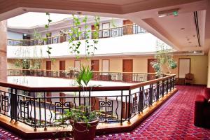 迪拜丽晶宫殿酒店的楼里种植盆栽的大堂