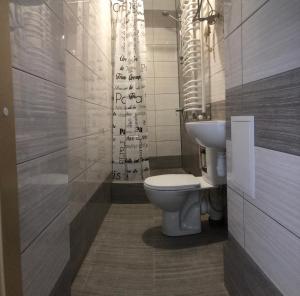 利沃夫Etno Hostel的一间带卫生间和水槽的浴室