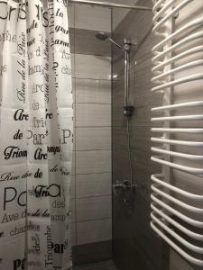 利沃夫Etno Hostel的带淋浴和浴帘的浴室