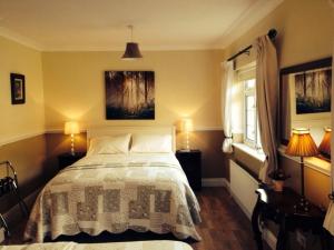 克利夫登Rockmount House B&B的一间卧室配有一张床、两盏灯和一个窗户。