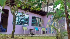 奥罗西Montaña Linda Guest House Orosi的一座紫色的建筑,前面有椅子和一只猫