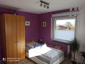 布克斯泰胡德Ferienwohnung "An der Geest 1"的卧室设有紫色墙壁、床和窗户