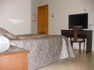 格拉纳达Hotel Sacromonte的一间卧室配有一张床和一张书桌及电视