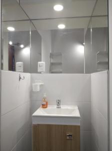 科洛尼亚-德尔萨克拉门托La Comarca的一间带水槽和镜子的浴室