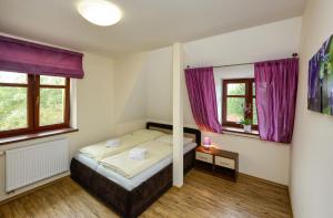 特热邦纳瑟尼寇公寓的一间卧室设有一张床和两个窗户。