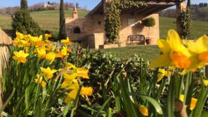 托伦蒂诺卡萨莱阿尔隆蒂尼住宿加早餐旅馆的一座花园,在房子前面有黄色的花朵
