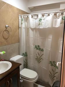 圣萨尔瓦多德朱Apart Hotel Urku Wasi的一间带卫生间和淋浴帘的浴室