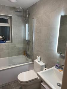 科尔温湾Luxury Modern 2Bed Seafront Apartment in Rhos on Sea的浴室配有卫生间、淋浴和盥洗盆。