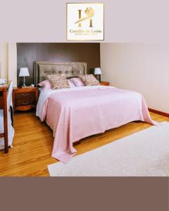 昆卡Hotel Boutique Castilla de Léon的一间卧室配有一张带粉色毯子的大床