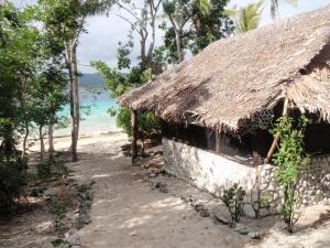 Moso IslandTranquility Island Eco Dive Resort的海滩上带稻草屋顶的房子