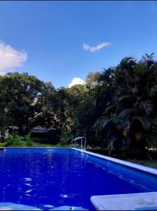 托比亚TierraViva的一座绿树成荫的蓝色游泳池