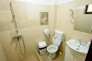 Casa Domneasca Riana的一间浴室