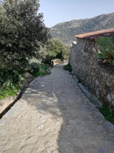 蒙蒂塞洛Clos Olivella的石墙旁的石路