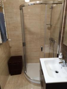 厄尔科Apartament MAZURIA2的带淋浴和盥洗盆的浴室