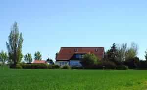 卡格斯多夫Ferienwohnungen Kleckerburg mit Me的绿色田野上一座红色屋顶的房子