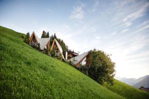 阿绍HochLeger - Chalet Refugium am Berg的绿色山坡边的房子