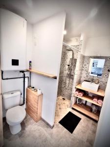 Saint-Jean-de-FosLodging Gîte Au Milieu des Vignes & des Étoiles的浴室配有卫生间、盥洗盆和淋浴。