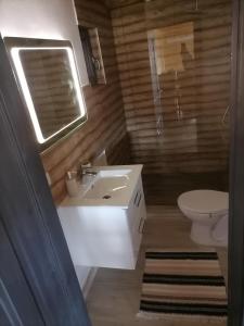 下维谢乌乡La Cabană的浴室配有白色水槽和卫生间。