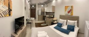 科扎尼Xenia_Apartments A2的小房间设有床和厨房
