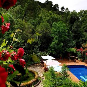 阿罗约弗里奥帕拉尔公寓的一个带游泳池和白色遮阳伞的花园
