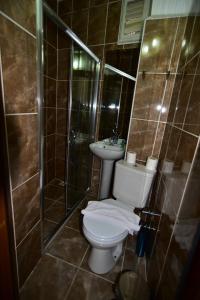 伊斯坦布尔Hotel Han的浴室配有卫生间、淋浴和盥洗盆。