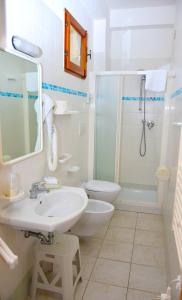 阿尔巴·阿德里亚蒂卡小百合酒店的一间带水槽、淋浴和卫生间的浴室