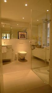 苏黎世Signature Bijou的一间带玻璃淋浴和卫生间的浴室