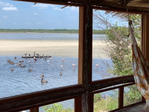 La Punta de los RemediosAwatawaa Ecolodge的水中一组火烈鸟的窗口视图