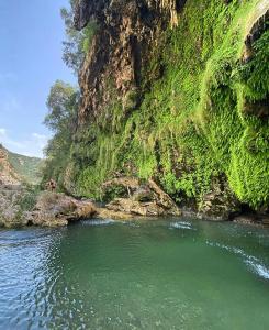 GadoniSa Stiddiosa Guesthouse的山旁的河流,有绿水