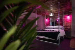 诺里奇31B Urban Stays的一间卧室配有两张带粉红色灯的床