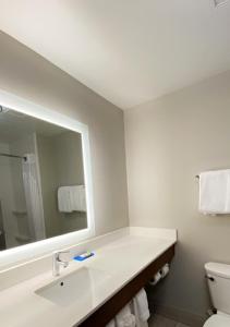 斯塔福德斯塔福德匡蒂科智选假日酒店 的一间带水槽、镜子和卫生间的浴室