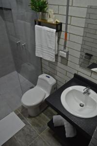 麦德林Manila Hotel Boutique的一间带卫生间和水槽的浴室