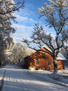 BorgvikKvarnen i Borgvik的雪中木房子,有树