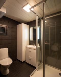 HyrynsalmiUkkohalla Sky Cabin Glass Suite的浴室配有卫生间、盥洗盆和淋浴。
