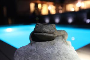 班贝格卡塔琳娜别墅精品酒店的坐在桌子上的青蛙雕像