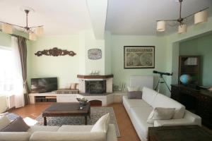 帕莱欧卡斯提撒Villa Marco的带沙发和壁炉的客厅