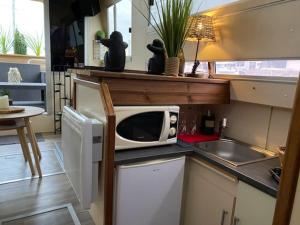 乌伊斯特勒昂Magnifique bateau maison的厨房配有微波炉,位于柜台上