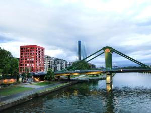 美因河畔法兰克福THE FLAG Oskar M.的一座建有建筑物的城市里河流上的桥梁
