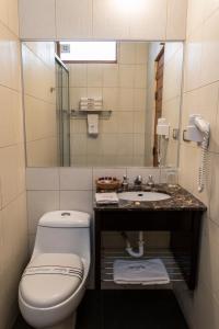 库斯科Mamasara Cusco的一间带卫生间、水槽和镜子的浴室