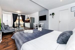 罗维尼Deluxe Apartments A&A的一间带大床的卧室和一间客厅