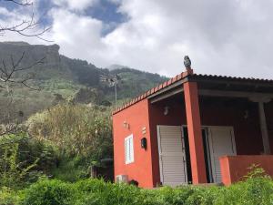 贝加德圣马特奥Villa Rafael的屋顶上鸟儿的红色小建筑